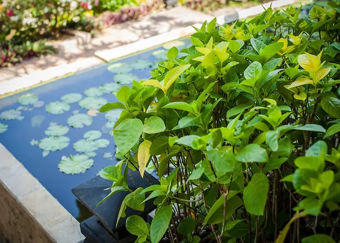 Zen Bali Villa