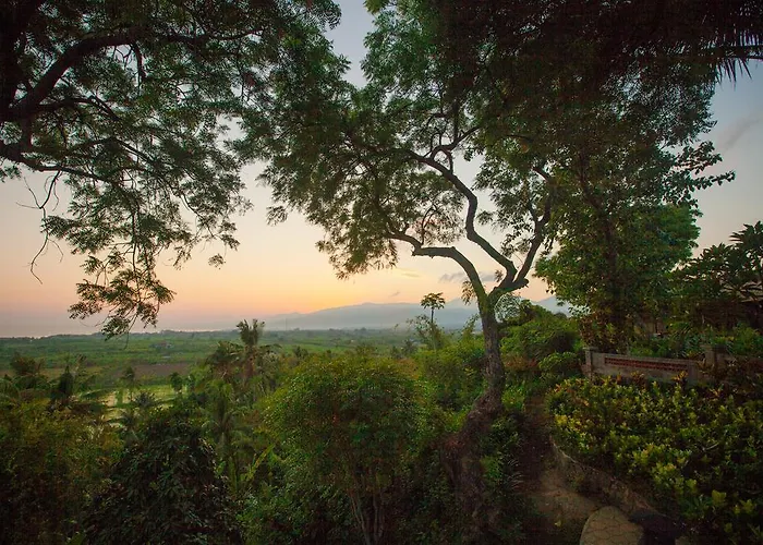 Zen Bali
