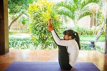 Zen Bali *