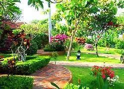 Zen Bali
