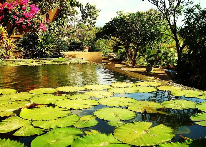 Zen Bali Villa